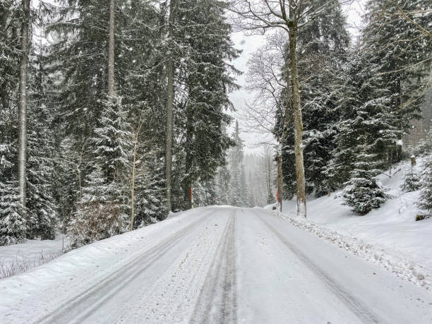 istock road in winter forest with snow 1366019138
