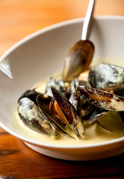 Cooked Mussels in Cream Sauce stock photo