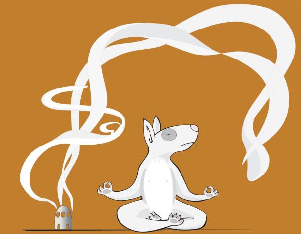 illustrazioni stock, clip art, cartoni animati e icone di tendenza di cane pratichi yoga - equanimity
