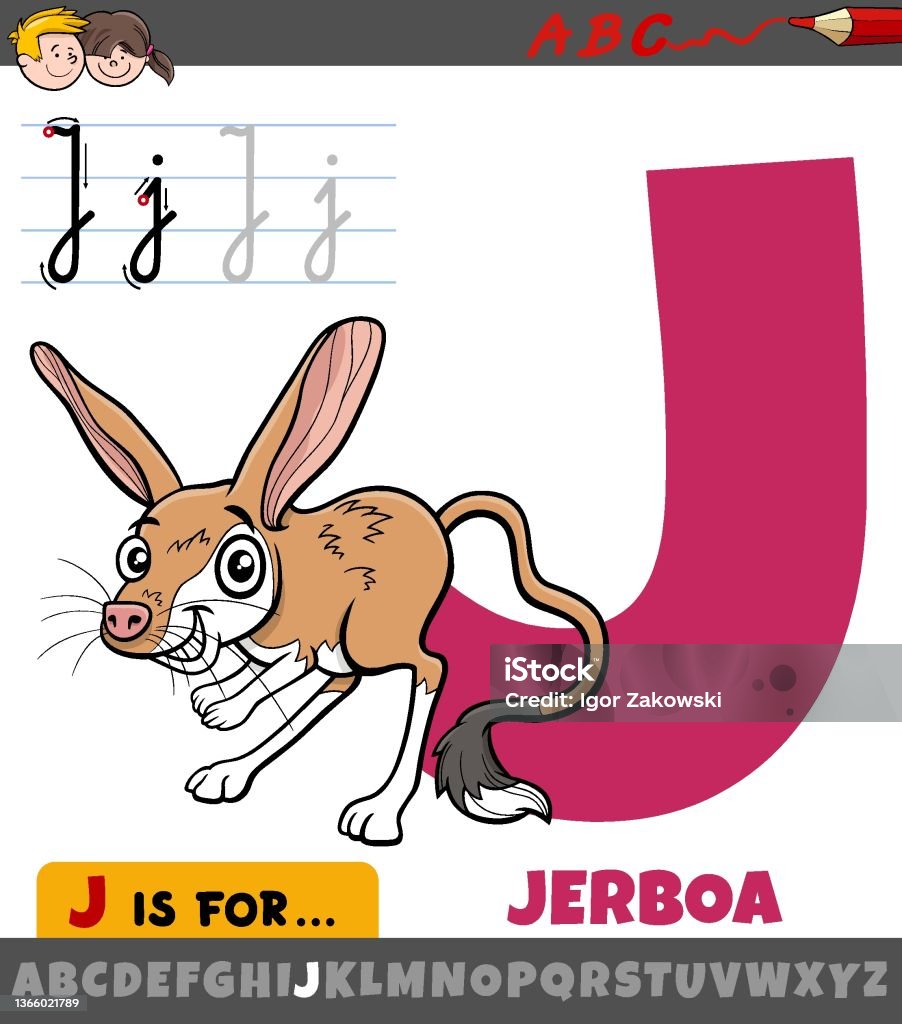Letter J From Alphabet With Cartoon Jerboa Animal Character Stock  Illustration - Download Image Now - iStock