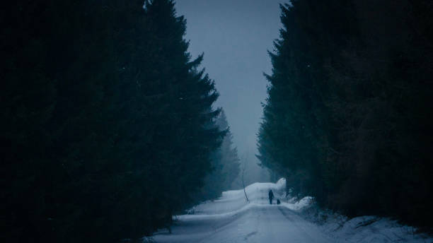 istock Lonely snowy road 1366023462