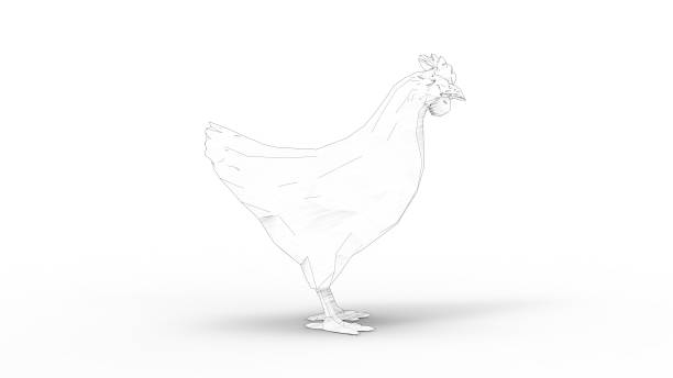 3d rendering of a chicken isolated in white studio background