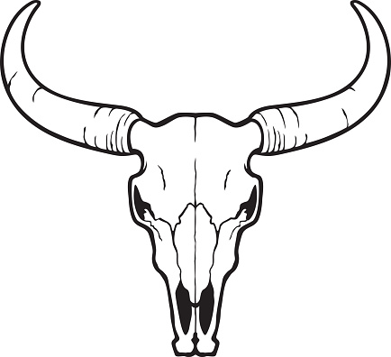 Bull skull black and white vector illustration