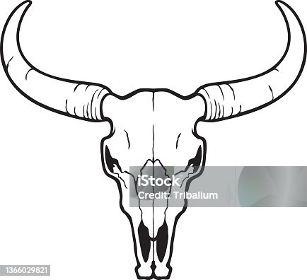 788 Bull Skull Tattoos Illustrations & Clip Art - iStock