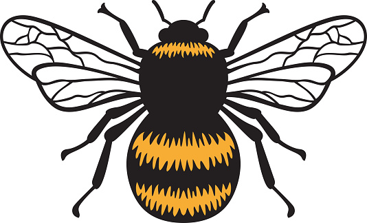 Bumblebee insect color vector illustration