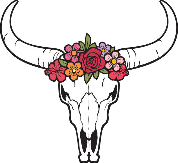 kwiatowy kolor czaszki byka - texas longhorn cattle bull cattle wild west stock illustrations