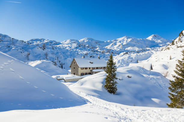 istock Alpine hut under Bogatin, Julian Alps, Slovenia 1366032037