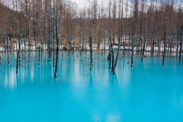 istock Blue pond in early spring with residual snow in Biei 1366032314
