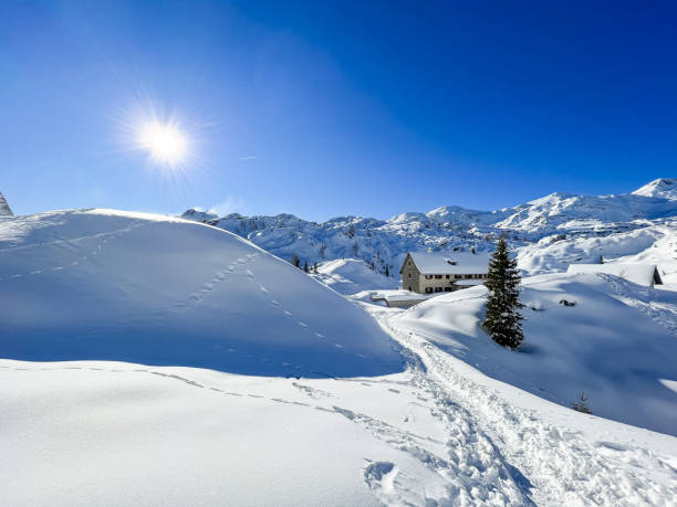 istock Alpine hut under Bogatin, Julian Alps, Slovenia 1366032348