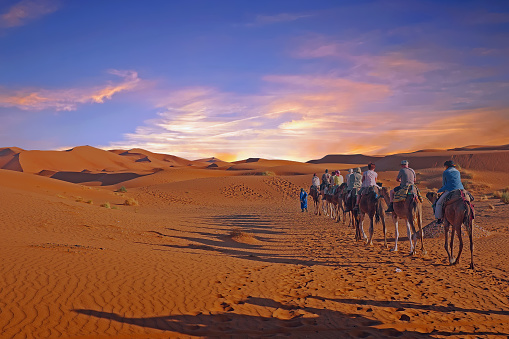 Tourists riding camels on sand dunes in the desert, Merzouga, Erg Chebbi sand dunes region, Sahara, Morocco. Model released.