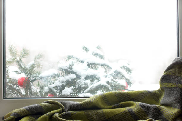 istock cozy winter day at home 1366033765