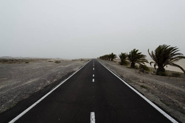 Highway in the desert with palm trees on the sides.