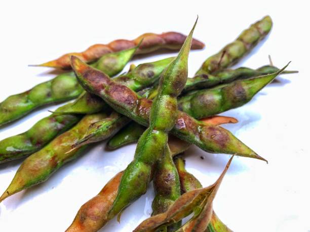 primer plano de guisantes de paloma fresca - pigeon pea” fotografías e imágenes de stock