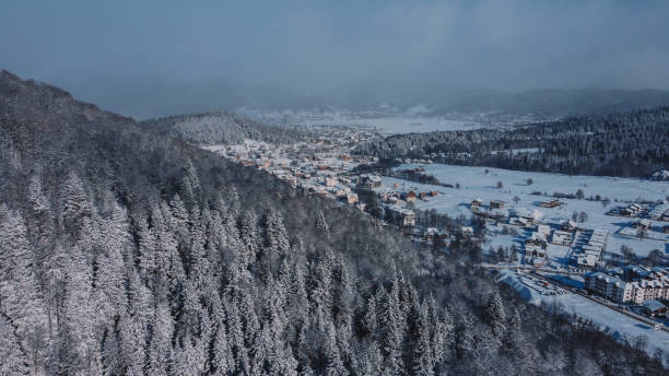 istock Snowed forest aerial view from drone 1366039259
