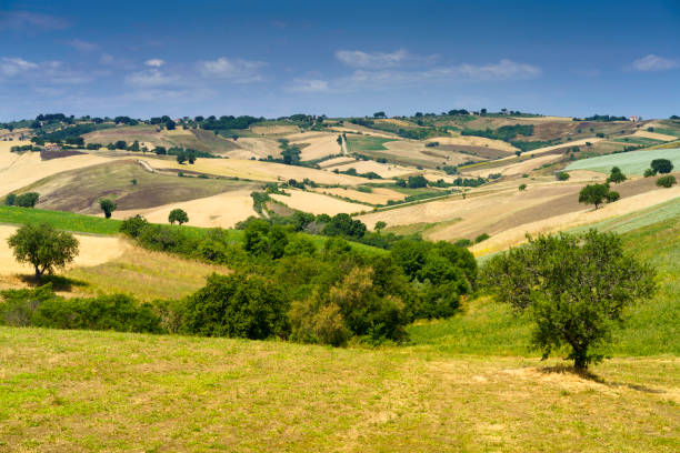 istock Landscape in Campobasso province, Molise, Italy 1366043009