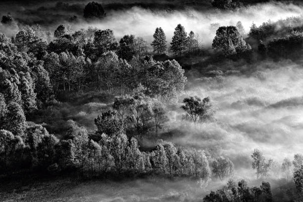 les premiers rayons de soleil au-dessus de la forêt brumeuse - morning italy shadow sunlight photos et images de collection