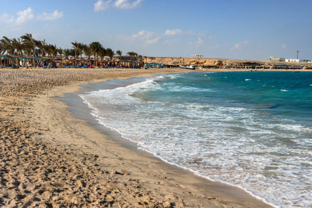 istock Sandy beach of Egypt 1366043989