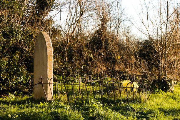 istock Lonely grave on sunny morning 1366044550