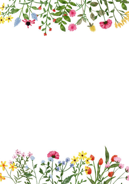 istock Watercolor wildflower border. Botanical spring summer flowers frame. Garden floral greenery wild flowers for wedding invitation. Nature wild herbs design card template illustrations 1366045406