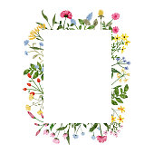 istock Watercolor wildflower wreath. Botanical spring summer flowers frame. Garden floral greenery wild flowers for wedding invitation. Nature wild herbs design card template illustrations 1366045414