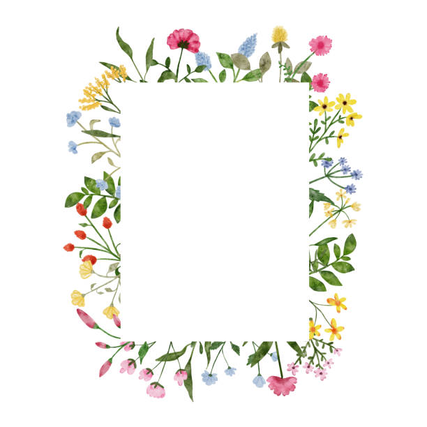 Watercolor wildflower wreath. Botanical spring summer flowers frame. Garden floral greenery wild flowers for wedding invitation. Nature wild herbs design card template illustrations Watercolor wildflower wreath. Botanical spring summer flowers frame. Garden floral greenery wild flowers for wedding invitation. Nature wild herbs design card template illustrations wildflower stock illustrations