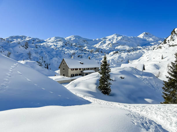 istock Alpine hut under Bogatin, Julian Alps, Slovenia 1366049332