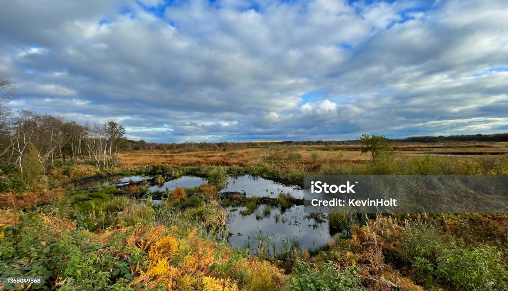 Bogs In England Peat Bogs Stock Photo - Download Image Now - Peat Bog, Warrington ...