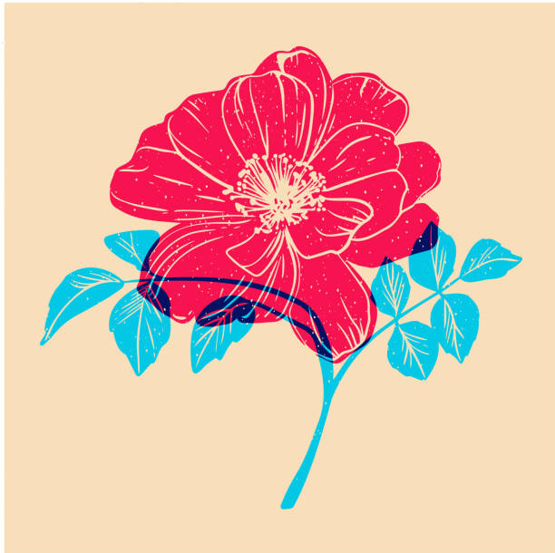 Graphic element for fabric, textile, clothing, wrapping paper, wallpaper Vector illustration Colorful cute screen printing effect. Riso print effect. Vector illustration wits flower, leafs. Graphic element for fabric, textile, clothing, wrapping paper, wallpaper riso print stock illustrations