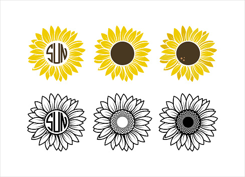 Sunflowers set Sunflower monogram frame Yellow sunflower with brown center Sunflower outline