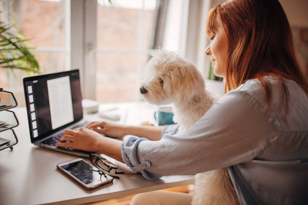 istock Redhead woman working from home 1366057725
