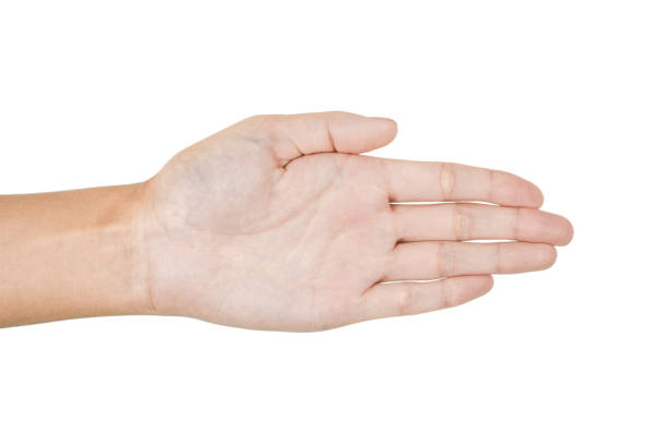 istock Female hand isolated on white 1366062959