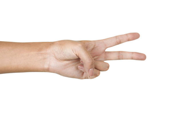 istock Female hand isolated on white 1366062966