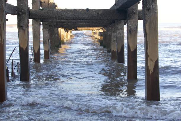 istock Wooden structure in the sea, the view from underneath. 1366066992