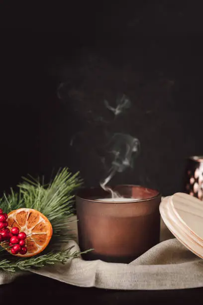 Photo of Unlit Chocolate Brown Candle Against Dark Background with Dried Oranges and Cranberries