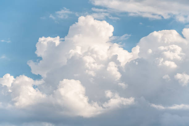 白い雲 - cumulus cloud cloud sky only cumulonimbus ストックフォトと画像