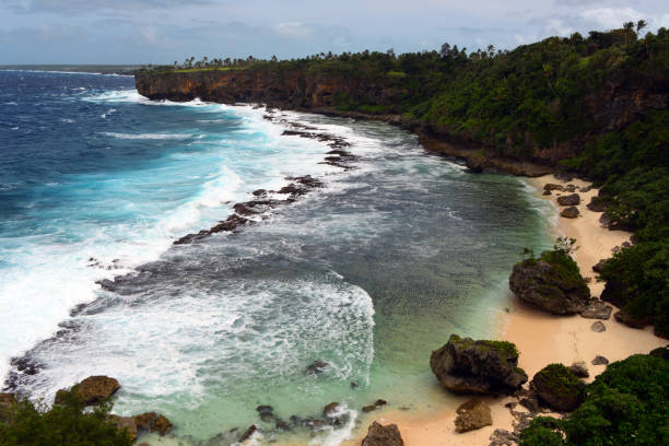 istock Hufangalupe Beach and coastal cliffs, Tongatapu island, Tonga 1366068452