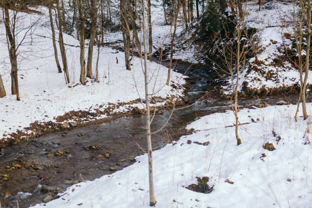 istock Mountain stream against forest in winter 1366071254