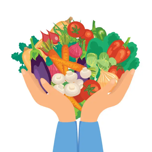 Vector illustration of Hands Holding Vegetables on Transparent Background