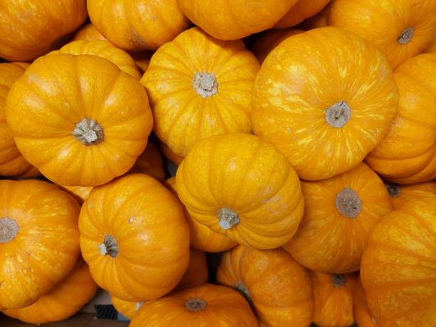 istock number of pumpkins close up view 1366074131