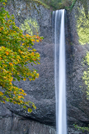 Latourell Falls in the Columbia River Gorge, Oregon
