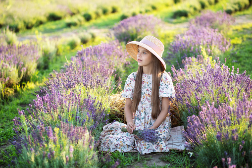 beautiful young girl in straw hat and a long dress collects lavender. Cheerful Little girl holding lavender bouquet on lavender field. Provence, France. Girl child collect lavender. aromatherapy