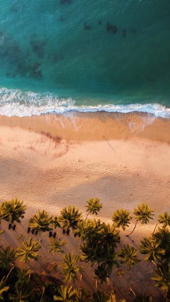 istock A Sri Lankan beach from above 1366075756
