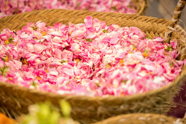 istock Rose petals in a basket at a souk market in Marrakesh Morocco 1366075921