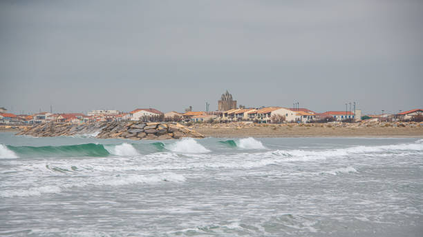 istock Winter in Camargue, France 1366077548