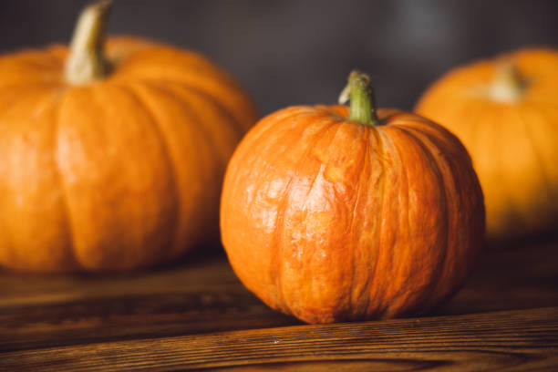 istock Three orange pumpkins on the brown table and grey background. Selective focus 1366078508