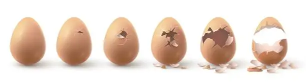 Vector illustration of Realistic farm chicken egg broken, hatching chick stages. Cracked eggs with eggshell pieces. 3d fragile egg break in incubator vector set