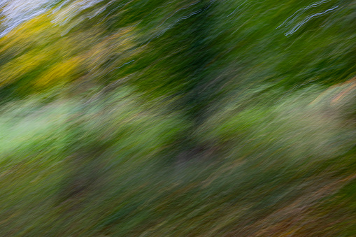 Abstract green background with motion blur - pattern, texture