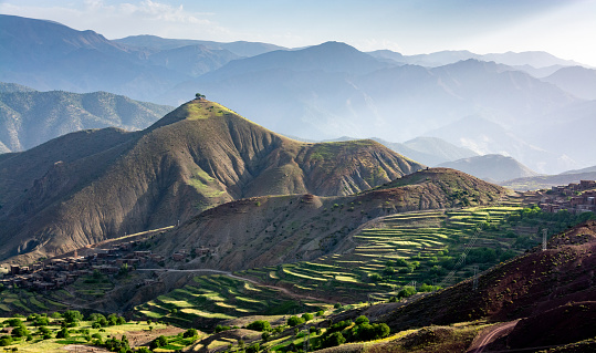 Two single trees on top of a mountain overlook a village and terraced cultivated fields