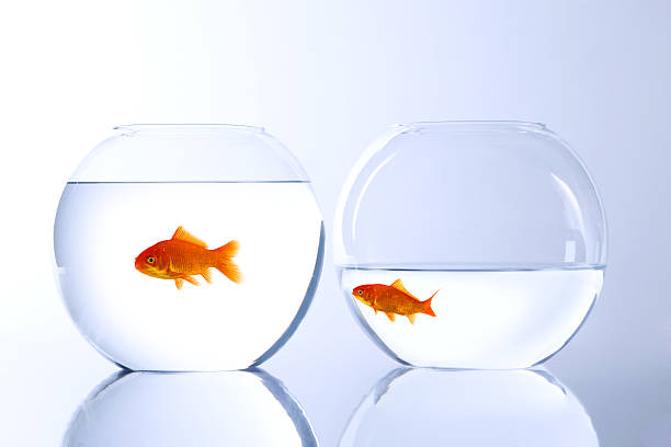 istock want to change my home 136608622