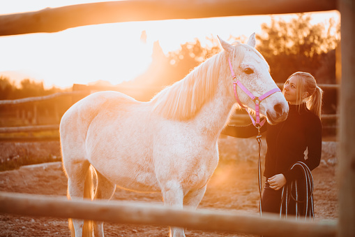 Heartfelt portrait with backlight and lense flares of a blond young girl and her white mare in a rustic stable outdoors in Majorca. Color editing and added grain. lens flares. Part of a series.